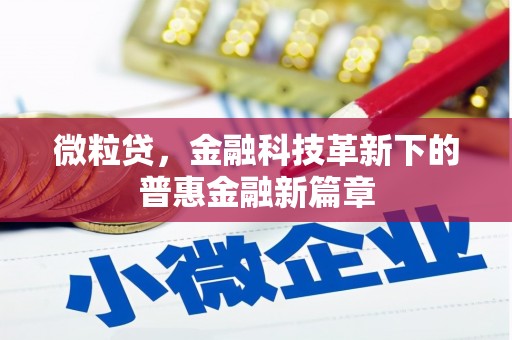 新邱微粒贷，金融科技革新下的普惠金融新篇章