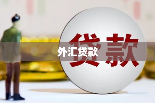 新邱外汇贷款