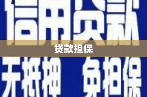 新邱贷款担保