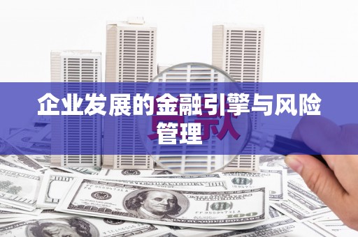 新邱企业发展的金融引擎与风险管理