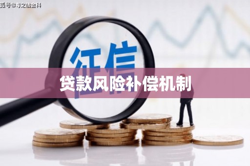 新邱贷款风险补偿机制