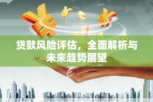 新邱贷款风险评估，全面解析与未来趋势展望
