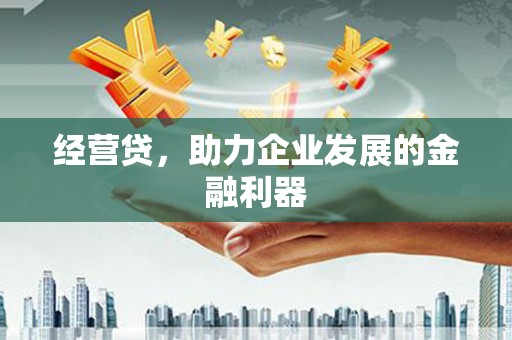 新邱经营贷，助力企业发展的金融利器