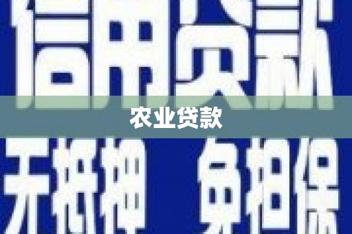 新邱农业贷款