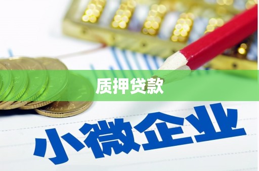 新邱质押贷款