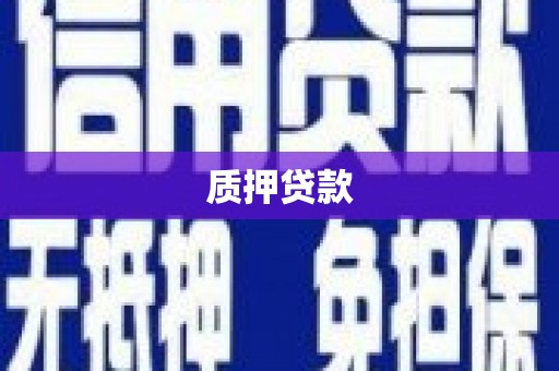 新邱质押贷款