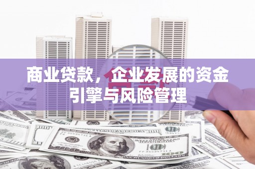 新邱商业贷款，企业发展的资金引擎与风险管理