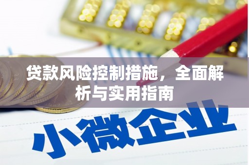 新邱贷款风险控制措施，全面解析与实用指南