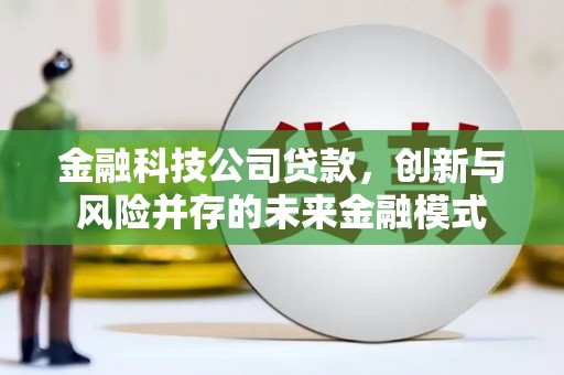 新邱金融科技公司贷款，创新与风险并存的未来金融模式