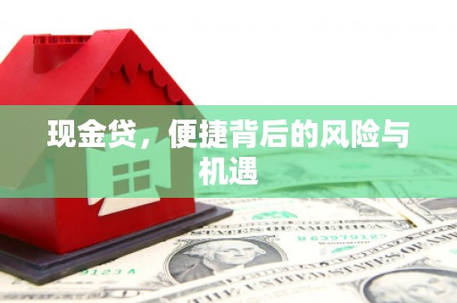 新邱现金贷，便捷背后的风险与机遇