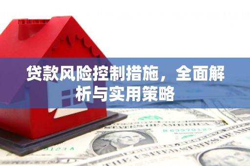 新邱贷款风险控制措施，全面解析与实用策略