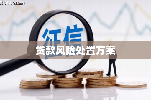 新邱贷款风险处置方案
