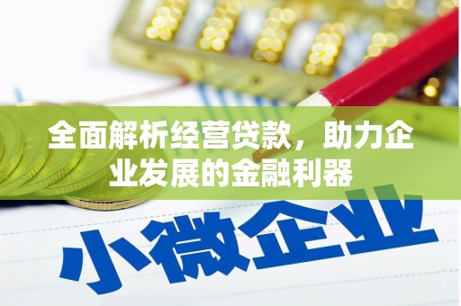 新邱全面解析经营贷款，助力企业发展的金融利器