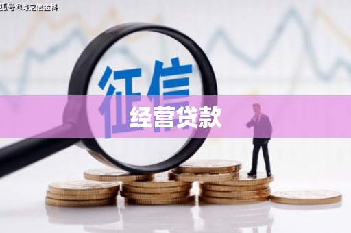 新邱经营贷款