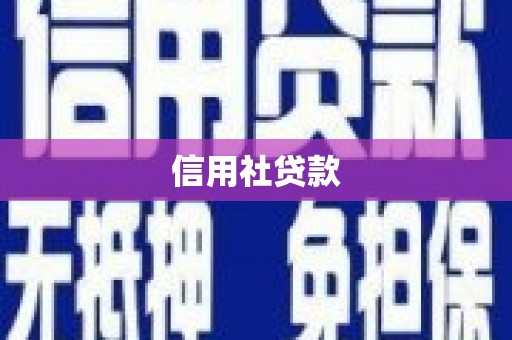新邱信用社贷款