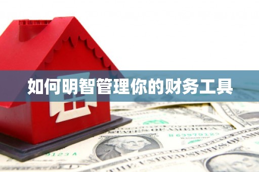 新邱如何明智管理你的财务工具