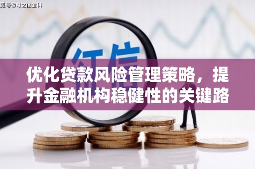 新邱优化贷款风险管理策略，提升金融机构稳健性的关键路径