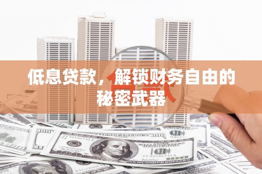 新邱低息贷款，解锁财务自由的秘密武器