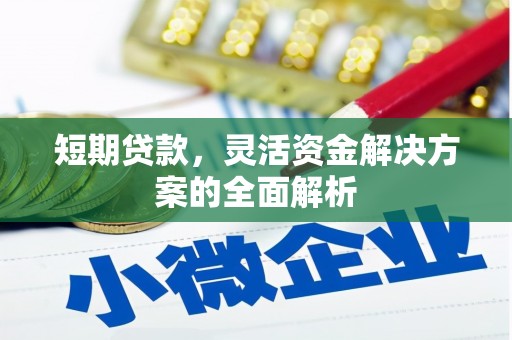 新邱短期贷款，灵活资金解决方案的全面解析