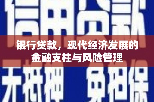 新邱银行贷款，现代经济发展的金融支柱与风险管理