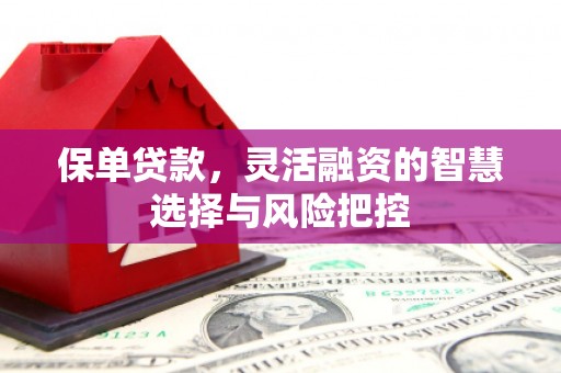 新邱保单贷款，灵活融资的智慧选择与风险把控