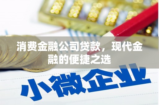 新邱消费金融公司贷款，现代金融的便捷之选