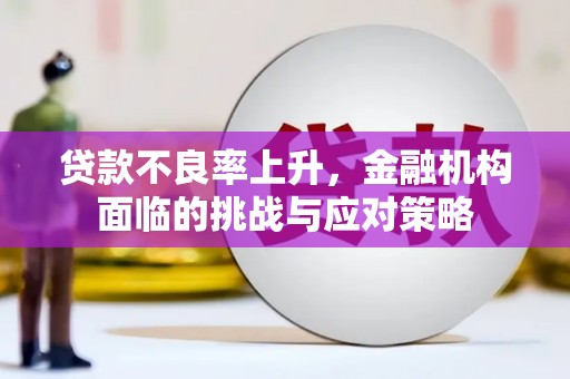 新邱贷款不良率上升，金融机构面临的挑战与应对策略