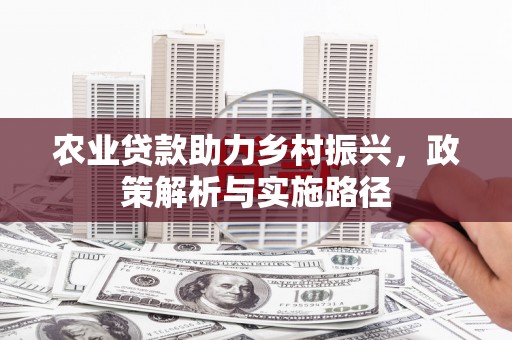 新邱农业贷款助力乡村振兴，政策解析与实施路径