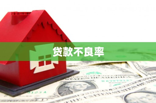 新邱贷款不良率