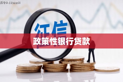 新邱政策性银行贷款