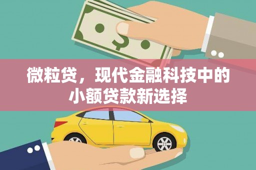 新邱微粒贷，现代金融科技中的小额贷款新选择
