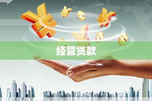 新邱经营贷款