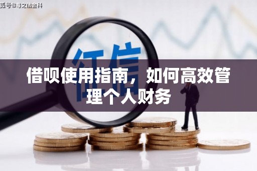 新邱借呗使用指南，如何高效管理个人财务