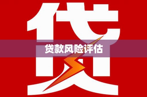 新邱贷款风险评估