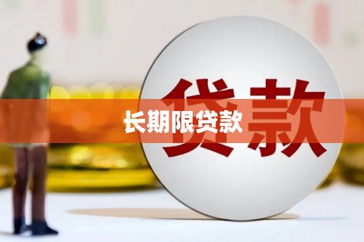 新邱长期限贷款
