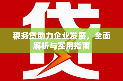 新邱税务贷助力企业发展，全面解析与实用指南