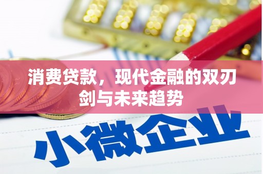 新邱消费贷款，现代金融的双刃剑与未来趋势