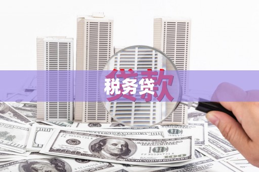 新邱税务贷