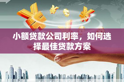 新邱小额贷款公司利率，如何选择最佳贷款方案