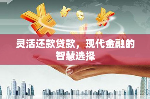 新邱灵活还款贷款，现代金融的智慧选择