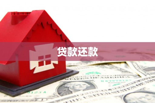 新邱贷款还款