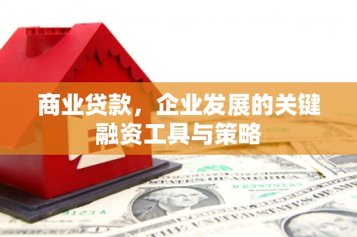 新邱商业贷款，企业发展的关键融资工具与策略