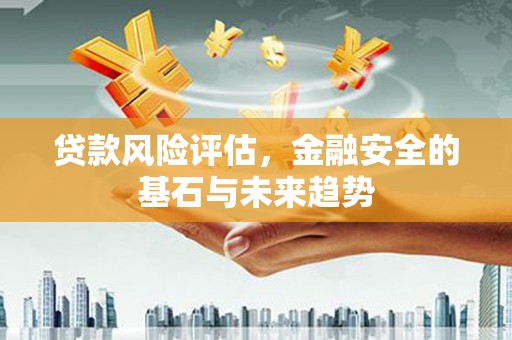 新邱贷款风险评估，金融安全的基石与未来趋势
