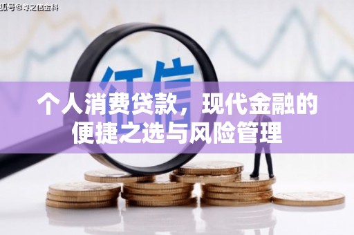 新邱个人消费贷款，现代金融的便捷之选与风险管理