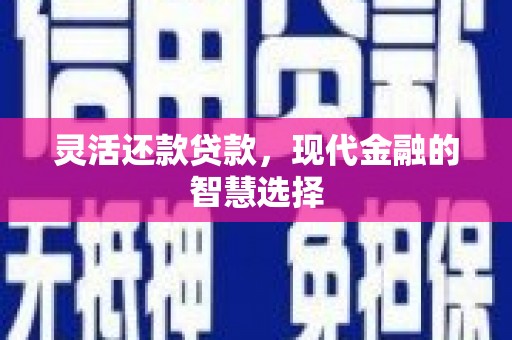 新邱灵活还款贷款，现代金融的智慧选择