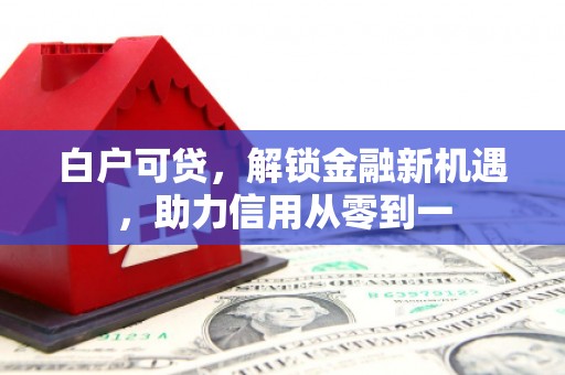 新邱白户可贷，解锁金融新机遇，助力信用从零到一