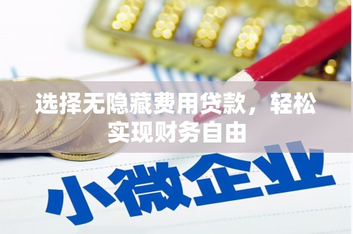 新邱选择无隐藏费用贷款，轻松实现财务自由