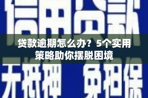 新邱贷款逾期怎么办？5个实用策略助你摆脱困境