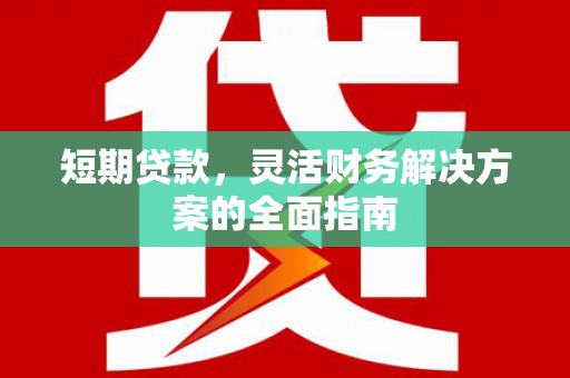 新邱短期贷款，灵活财务解决方案的全面指南