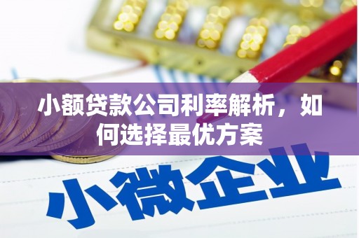 新邱小额贷款公司利率解析，如何选择最优方案